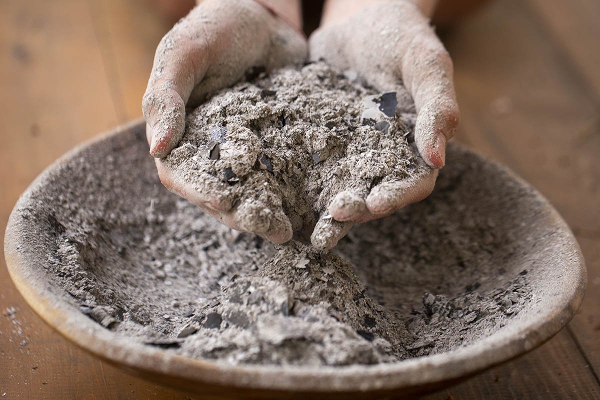 Mäuse laufen ohne sich umzusehen: ein natürliches Hausmittel, das die Herbstarmee der Nagetiere einfach vertreibt