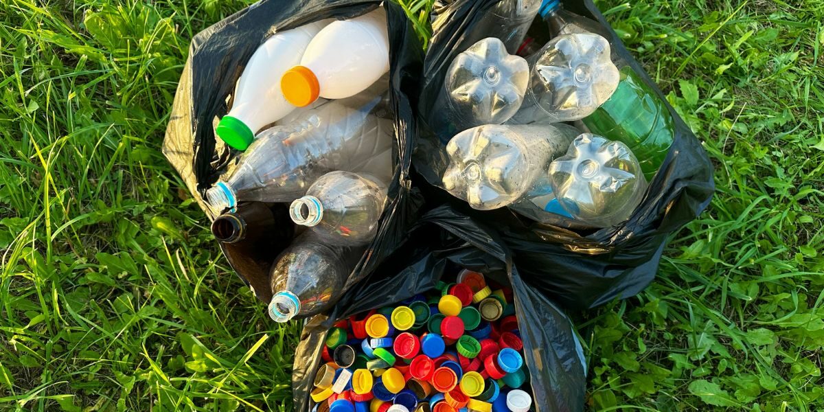 Unglaublich, aber wahr: Wissenschaftler bitten uns, aus diesem Grund keine Plastikabfälle mehr aus dem Meer zu entfernen