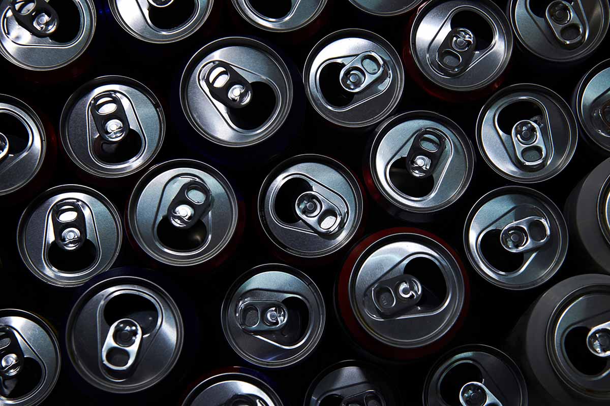 Nur wenige wissen: Warum es empfehlenswert ist, Aluminiumdosen im Garten aufzuhängen