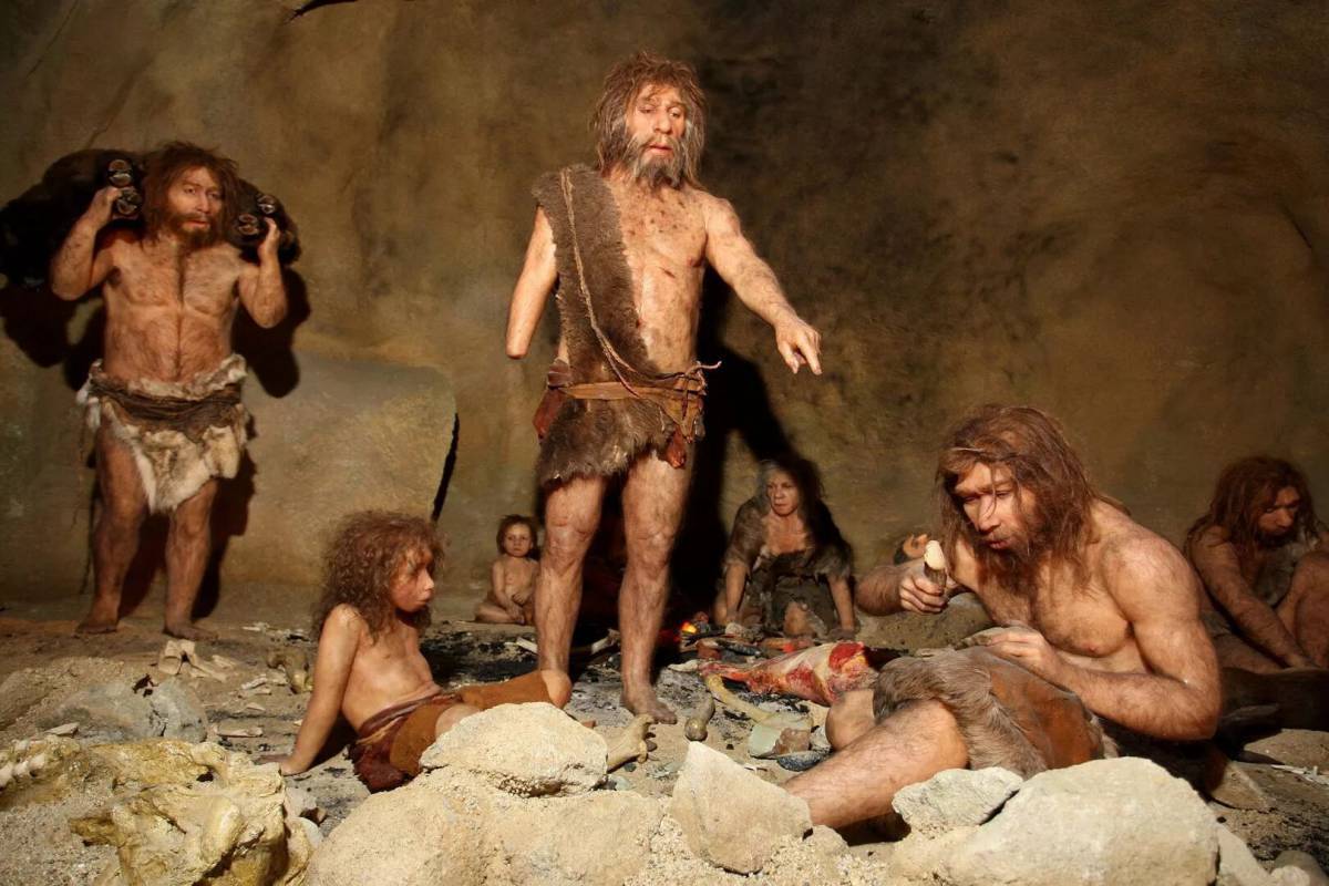 Vor etwa 45.000 Jahren kannibalisierte ein Neandertaler-Stamm in Belgien Frauen und Kinder einer feindlichen Gruppe, um sich zu ernähren.