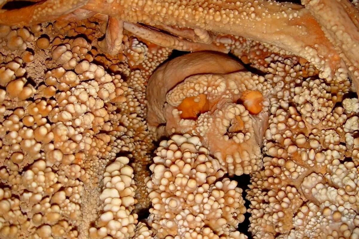 170.000 Jahre lang konnte niemand sein Gesicht verstehen. Der Neandertaler von Altamura hat endlich enthüllt, wie er atmete. Und diese Entdeckung widerlegt einen zentralen Mythos über die Anpassung an die Kälte.