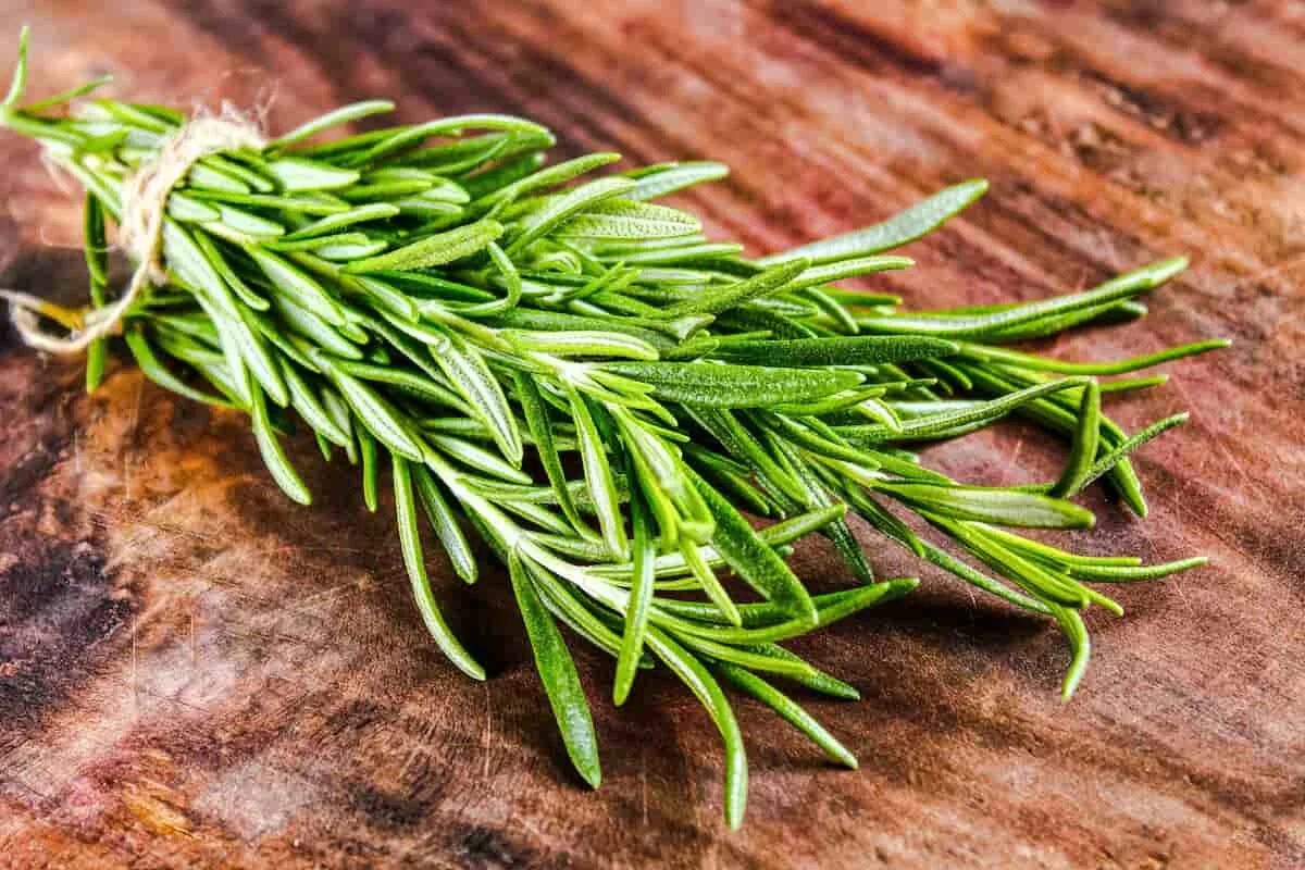 Rosmarin und Essig mischen: Warum ist das empfehlenswert und wozu dient es?