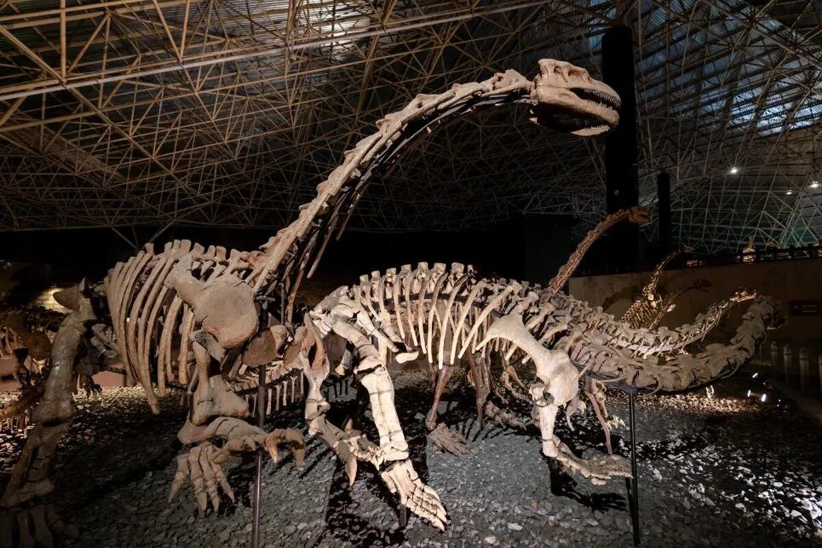 Archäologischer Fund des Jahrhunderts: Bisher unbekannte versteinerte Dinosaurierreste entdeckt, die die Geschichte neu schreiben