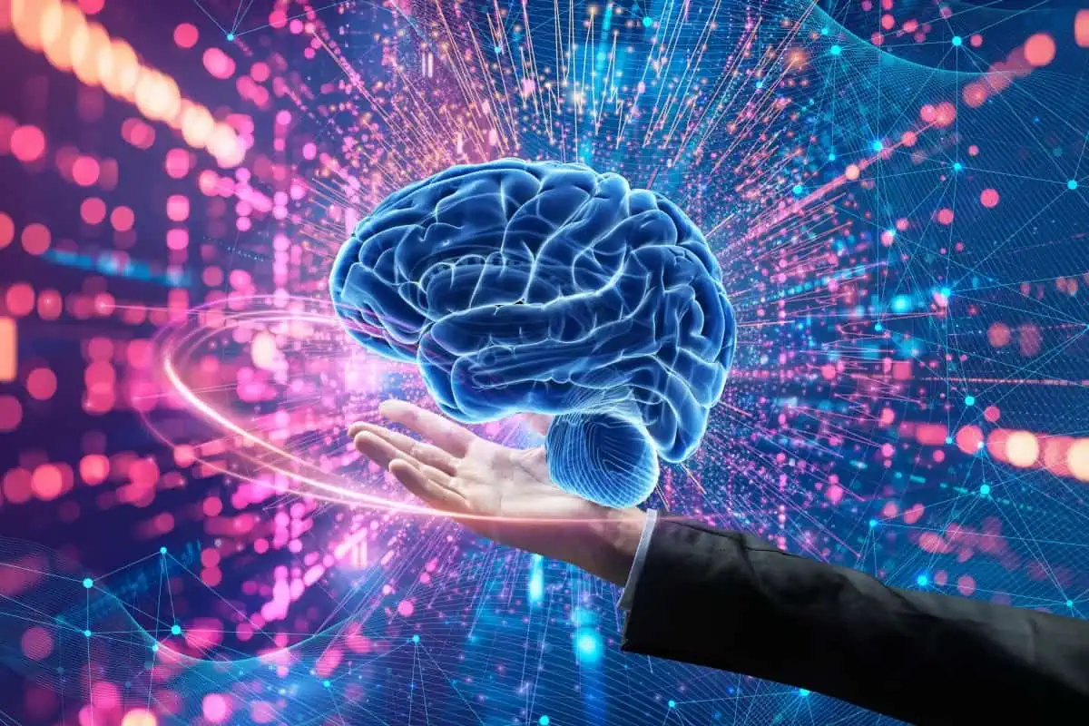 Frühkindliche Gehirnentwicklung: Eine bahnbrechende Entdeckung zur neuronalen Selbstorganisation