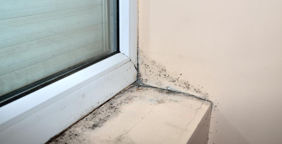 Stellen Sie es in die Küche und in den Kleiderschrank. Verhindert Schimmelbildung an den Wänden und hält Feuchtigkeit zurück