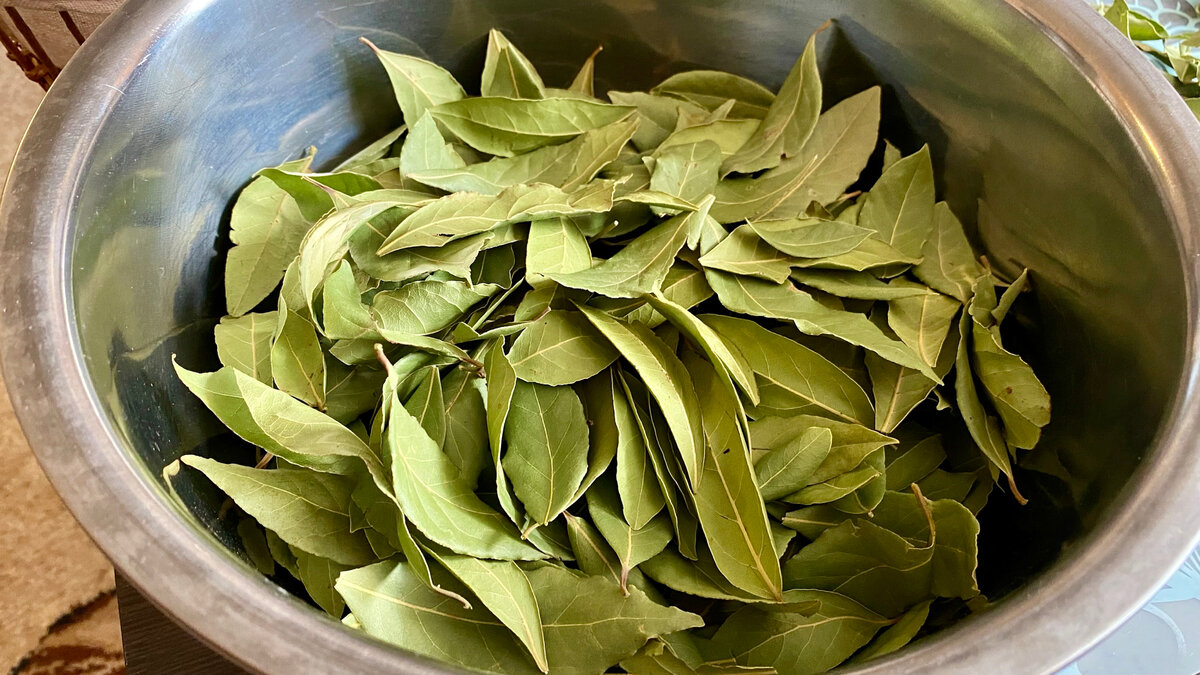 Geben Sie Lorbeerblätter in kochendes Wasser und spüren Sie, wie sich Ihr ganzes Zuhause verändert